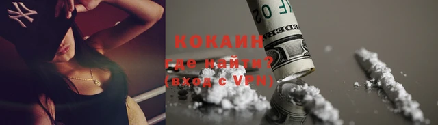 стаф Белокуриха