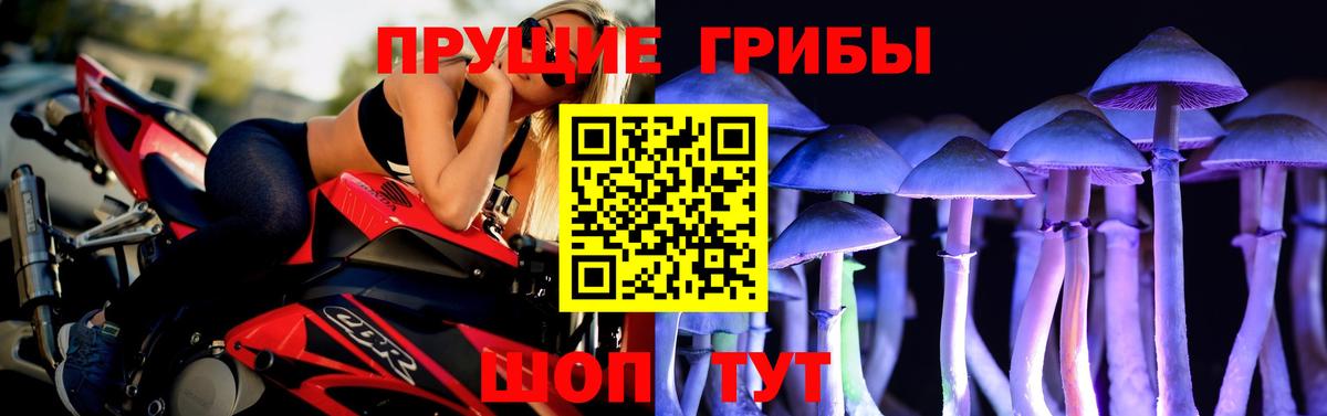 Сердобск  Псилоцибиновые грибы мухоморы  Вход с VPN 